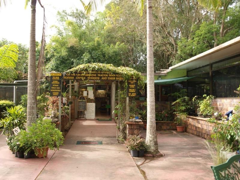 1004 Numinbah Road, Crystal Creek NSW 2484