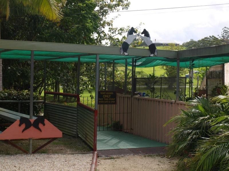 1004 Numinbah Road, Crystal Creek NSW 2484