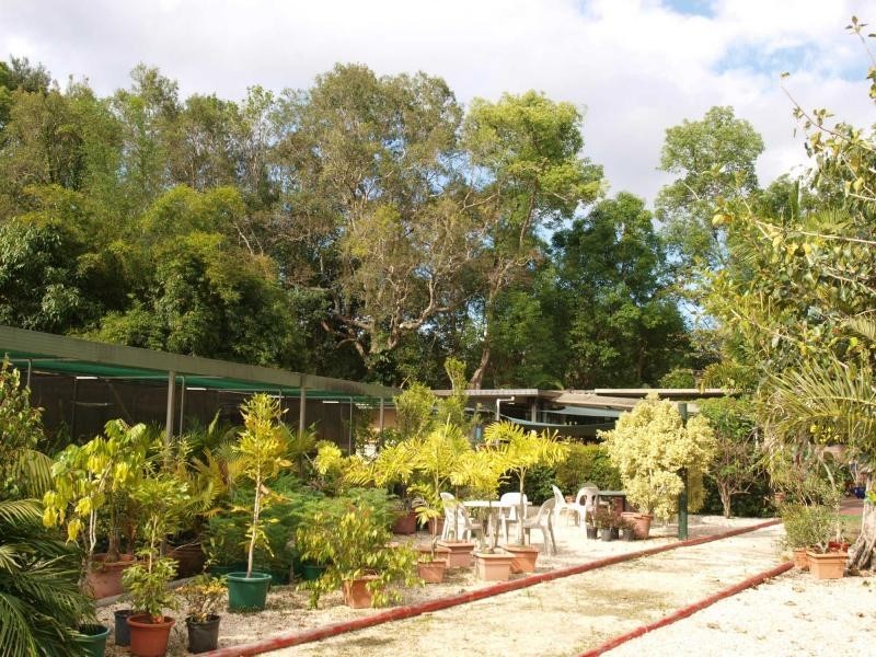 1004 Numinbah Road, Crystal Creek NSW 2484