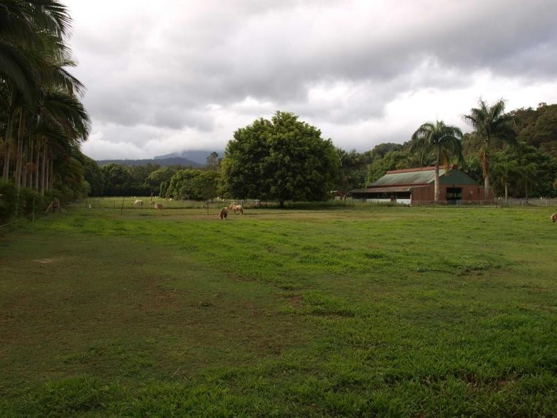 1004 Numinbah Road, Crystal Creek NSW 2484