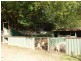 1004 Numinbah Road, Crystal Creek NSW 2484