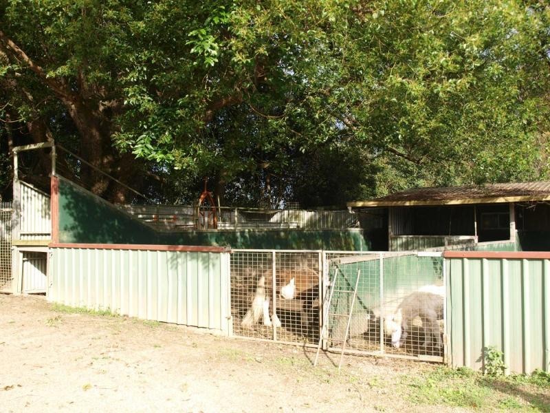 1004 Numinbah Road, Crystal Creek NSW 2484