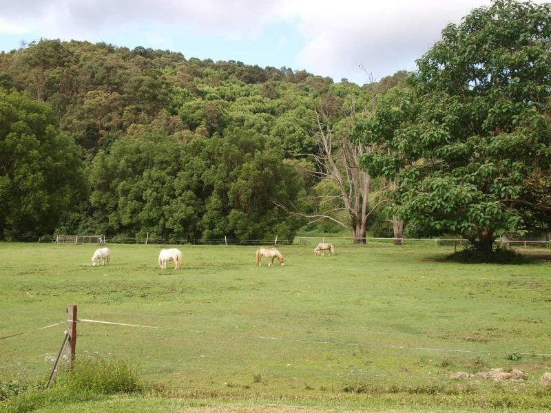 1004 Numinbah Road, Crystal Creek NSW 2484