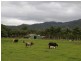 1004 Numinbah Road, Crystal Creek NSW 2484