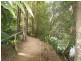 1004 Numinbah Road, Crystal Creek NSW 2484