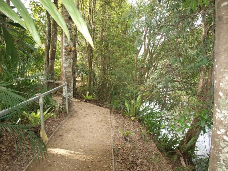 1004 Numinbah Road, Crystal Creek NSW 2484