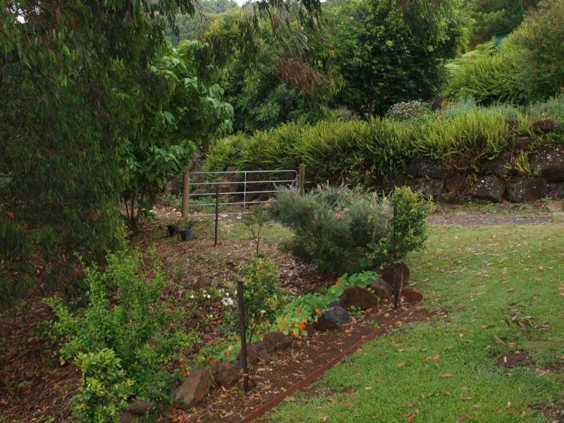 2a Owenia Circuit, Bilambil Heights NSW 2486