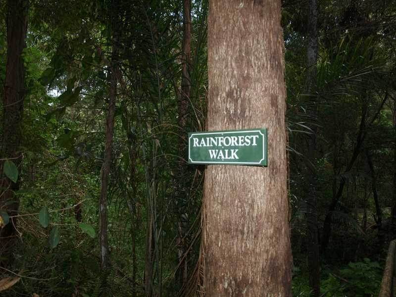 67 Mt Nathan Road, Mount Nathan QLD 4211