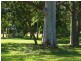 382 Bilambil Road, Bilambil NSW 2486