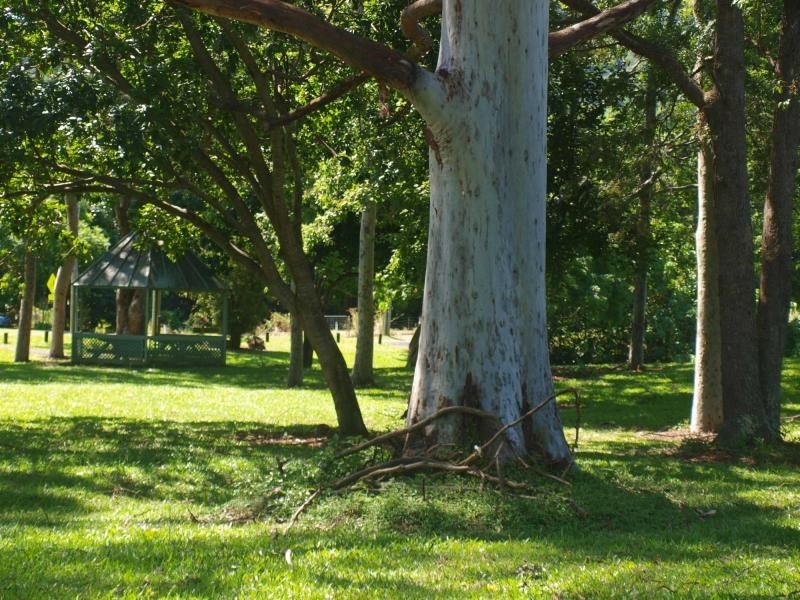 382 Bilambil Road, Bilambil NSW 2486