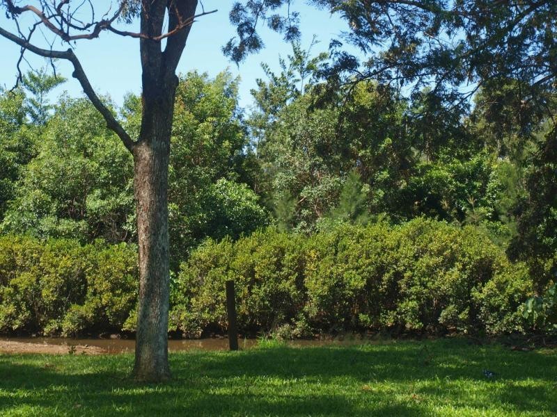 382 Bilambil Road, Bilambil NSW 2486