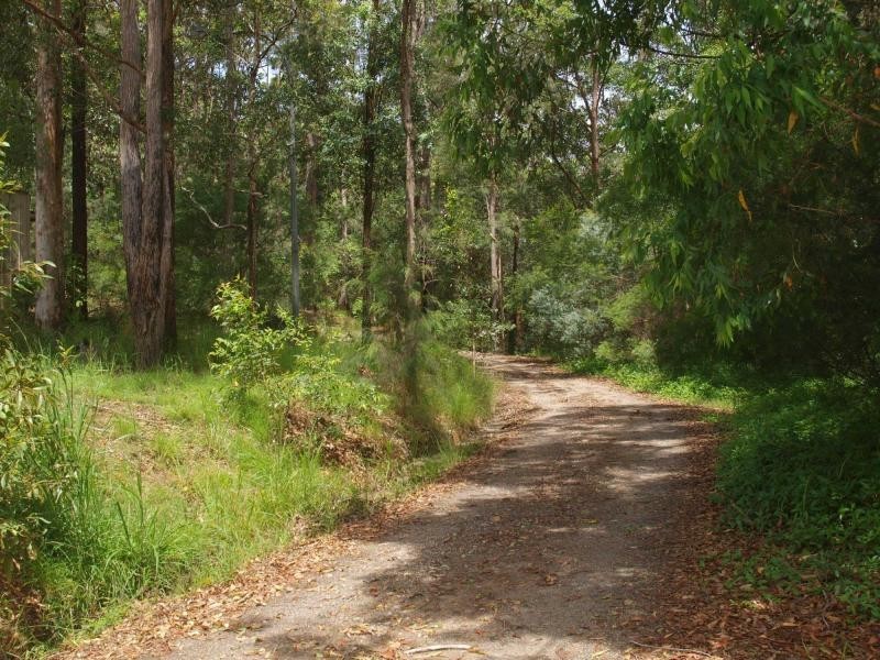 Austinville QLD 4213