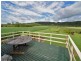 540 Pimlico Road, Pimlico NSW 2478