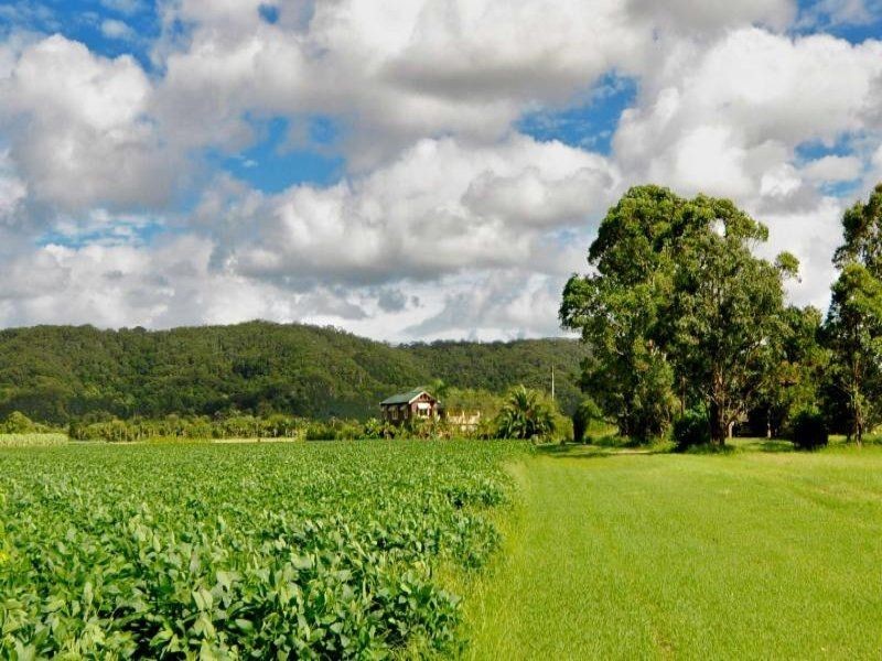 540 Pimlico Road, Pimlico NSW 2478