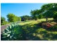 108 Meridian Drive, Coolgardie NSW 2478