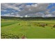 540 Pimlico Road, Pimlico NSW 2478
