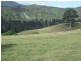 449 Sheepskin Road, Burragate NSW 2550
