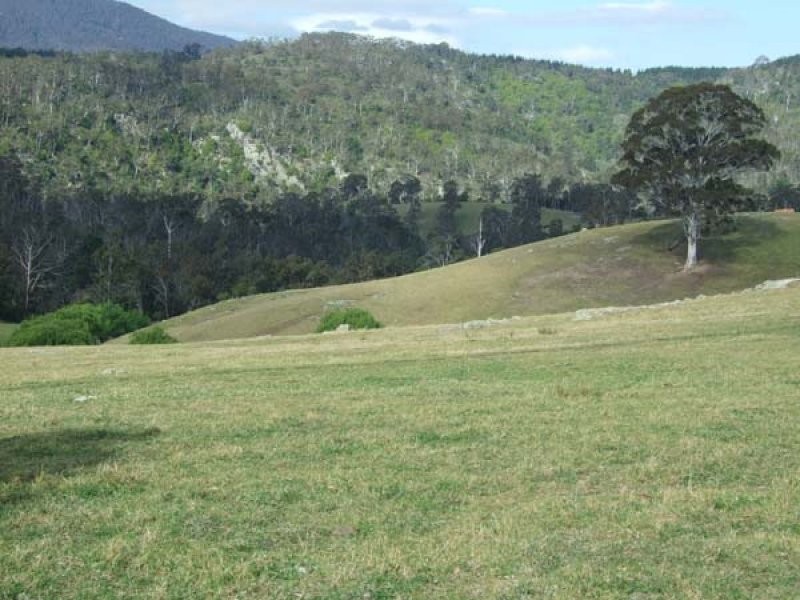 449 Sheepskin Road, Burragate NSW 2550