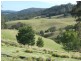 449 Sheepskin Road, Burragate NSW 2550