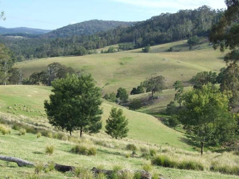 449 Sheepskin Road, Burragate NSW 2550