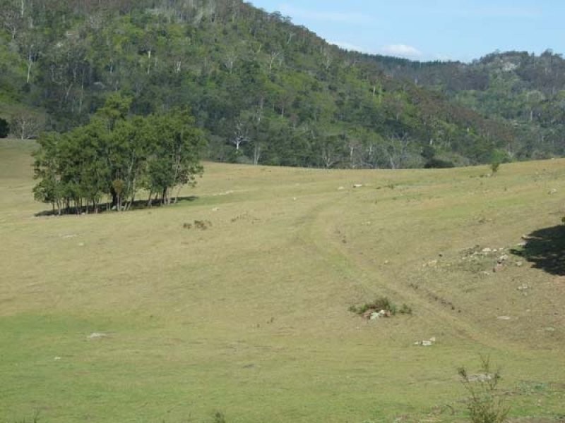 449 Sheepskin Road, Burragate NSW 2550