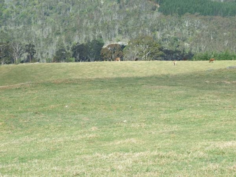 449 Sheepskin Road, Burragate NSW 2550