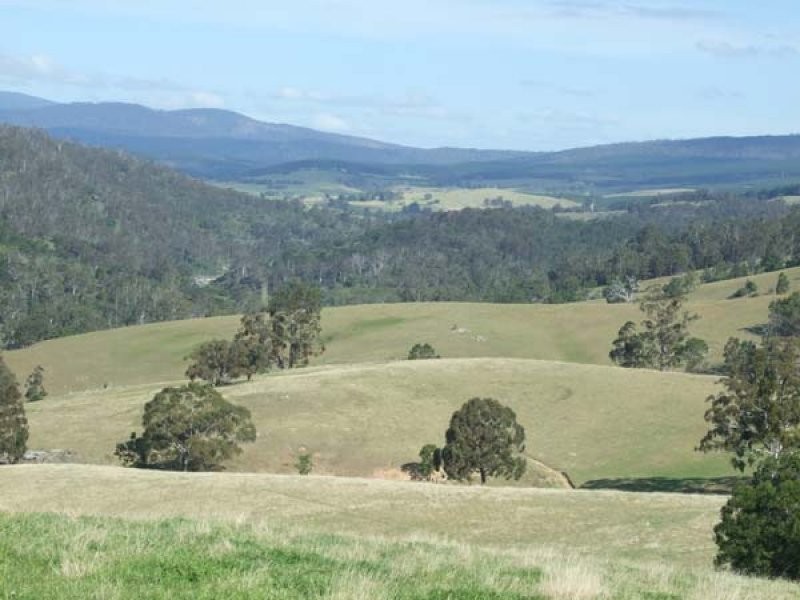 449 Sheepskin Road, Burragate NSW 2550