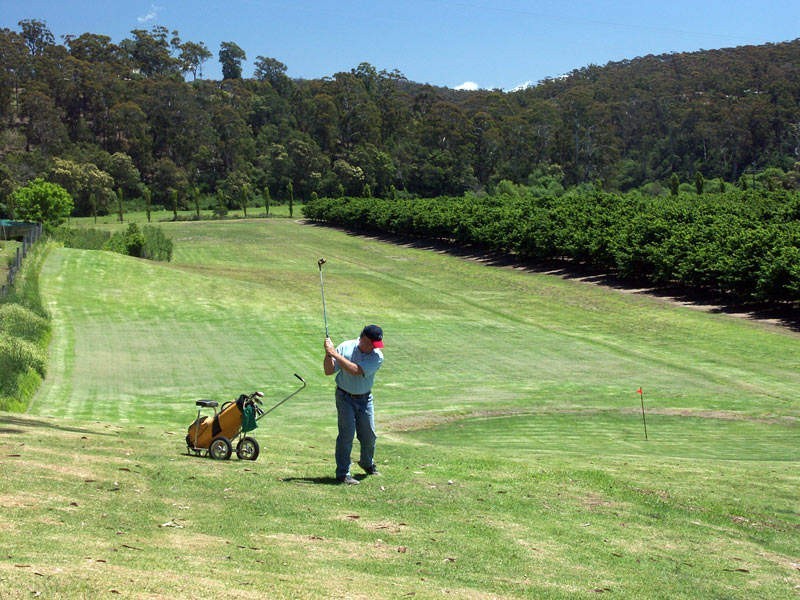 16 Eurack Court, Kiah NSW 2551