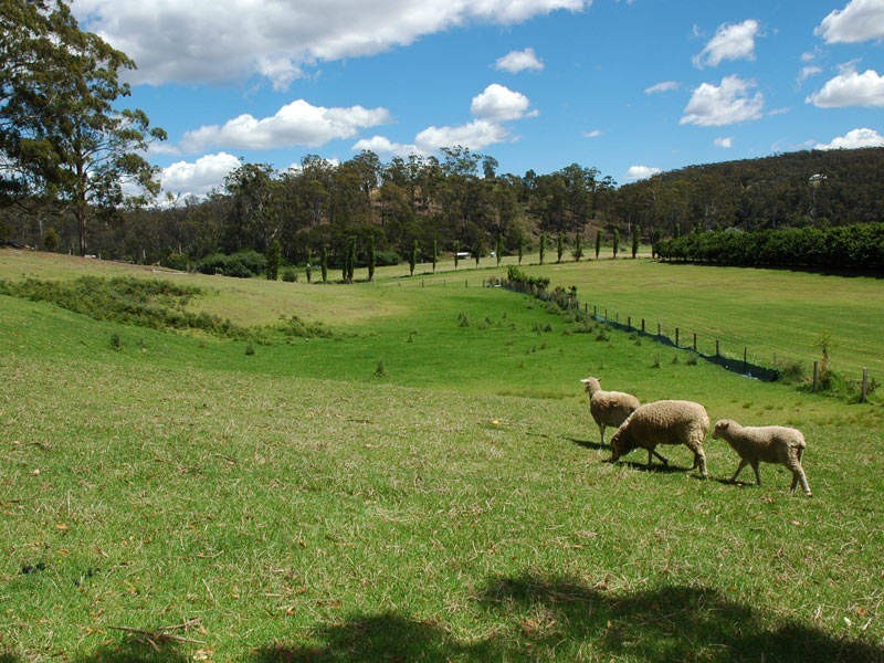 16 Eurack Court, Kiah NSW 2551