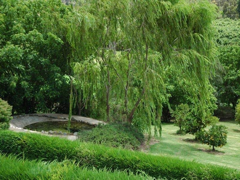 16 Eurack Court, Kiah NSW 2551