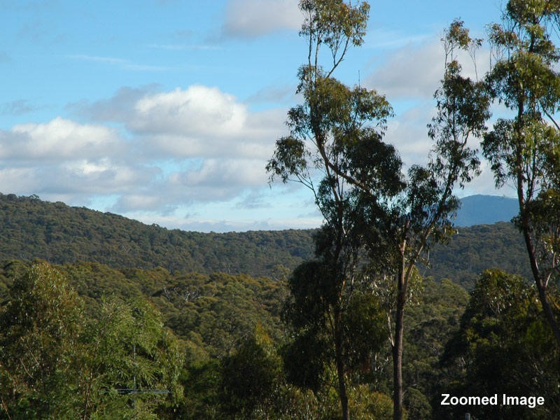 26 Adelaide Avenue, Wonboyn NSW 2551