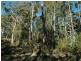 Lot 842 Kiaka Road, Nethercote NSW 2549