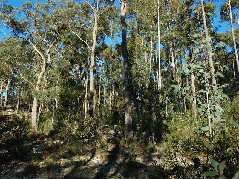 Lot 842 Kiaka Road, Nethercote NSW 2549