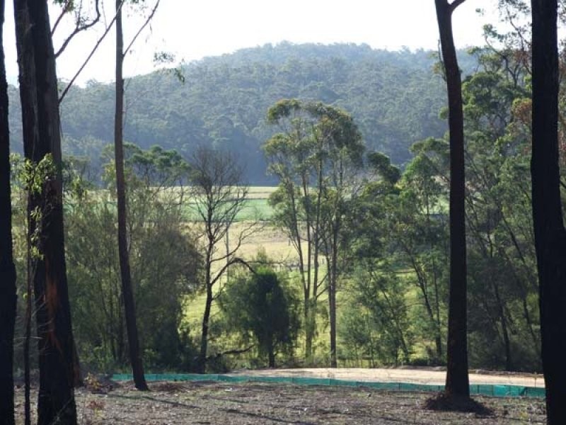 Lot 14 Yowaka River Road, South Pambula NSW 2549