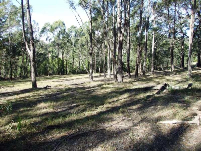 Lot 1 Boggy Creek Road, Millingandi NSW 2549