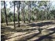 Lot 1 Boggy Creek Road, Millingandi NSW 2549