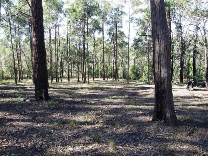 Lot 1 Boggy Creek Road, Millingandi NSW 2549