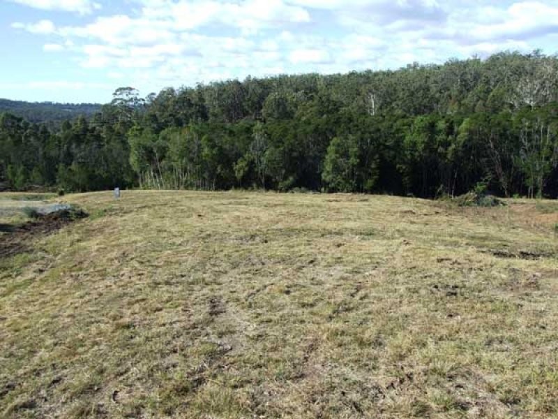 Lot 4 Boggy Creek Road, Millingandi NSW 2549