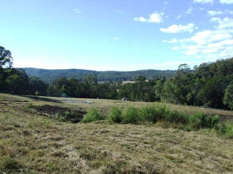 Lot 4 Boggy Creek Road, Millingandi NSW 2549