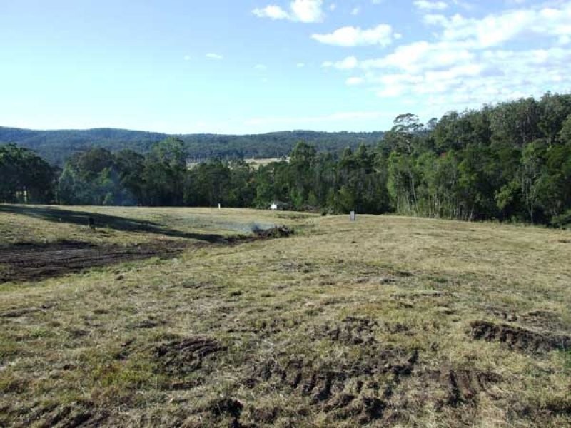 Lot 4 Boggy Creek Road, Millingandi NSW 2549