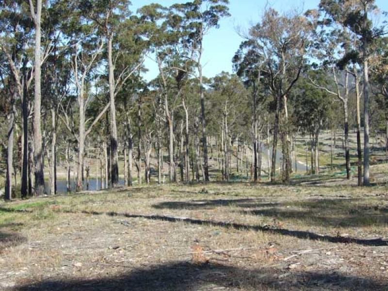 Lot 4 Grenenger Road, Broadwater, South Pambula NSW 2549