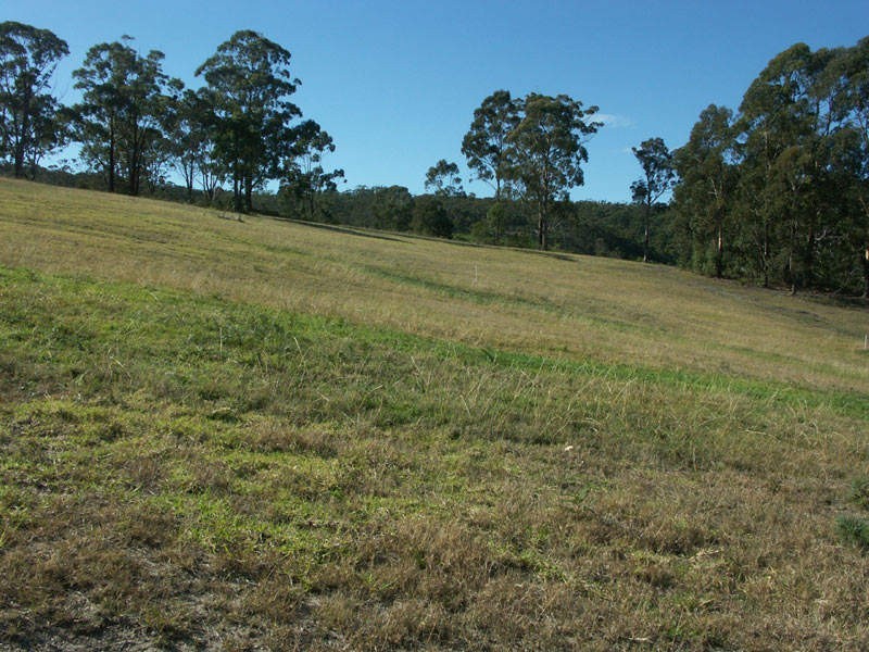 Lot 311 Trumpeter Avenue, Eden NSW 2551