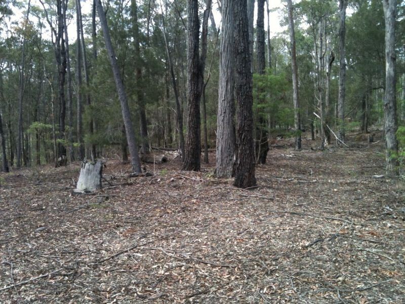 208 Princes Highway, Eden NSW 2551