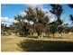 9 Annabelle Close, Wolumla NSW 2550