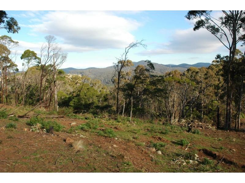 Lot 244 Florabunda Lane, Nethercote NSW 2549