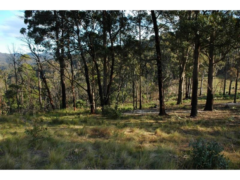 Lot 244 Florabunda Lane, Nethercote NSW 2549