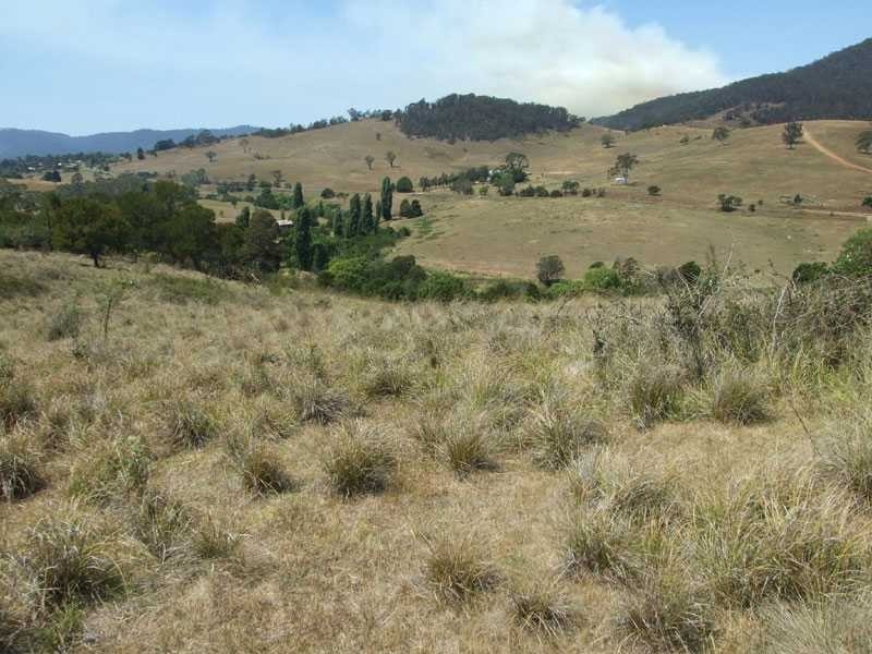 Lot 61-62 Mount Darragh Road, Wyndham NSW 2550