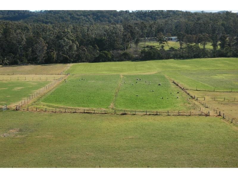 165 Yowaka River Road, Greigs Flat NSW 2549