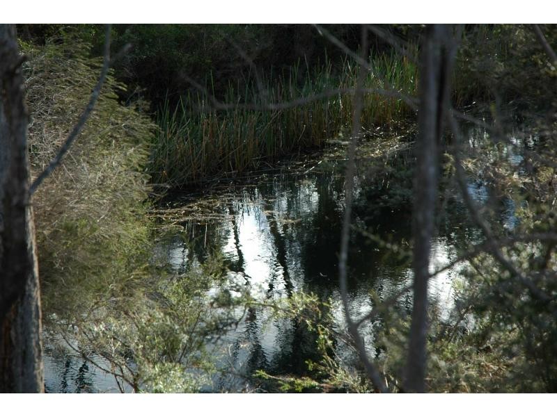 165 Yowaka River Road, Greigs Flat NSW 2549