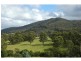 28 Norwood Street, Wyndham NSW 2550